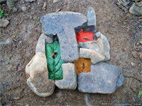 Wollybear / Eupithecia sabulosata / Fall webworm