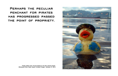 Pirate Duck