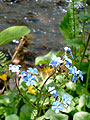 blue.jpg