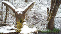 snow-blind.jpg