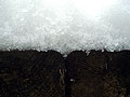 snow.jpg